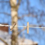 den praktiska trädgården